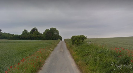 Brunehaut way