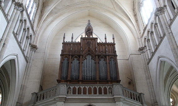 organ