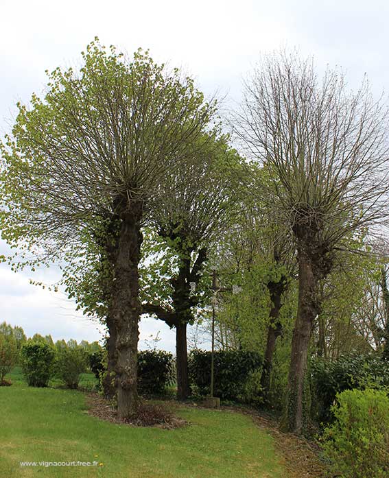 Calvaire de Vignacourt