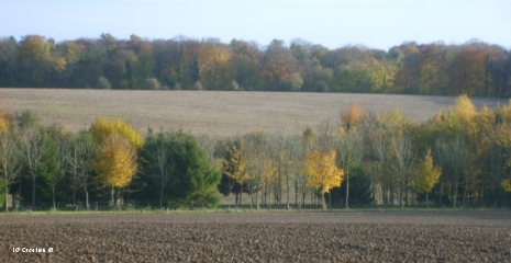 Autumne in Somme department