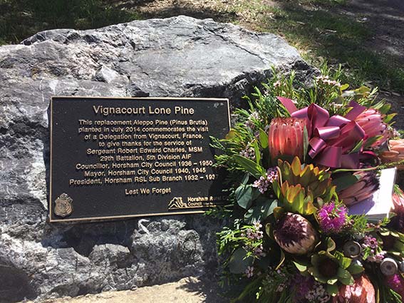 Vignacourt Lone Pine - Horsham Cenotaph